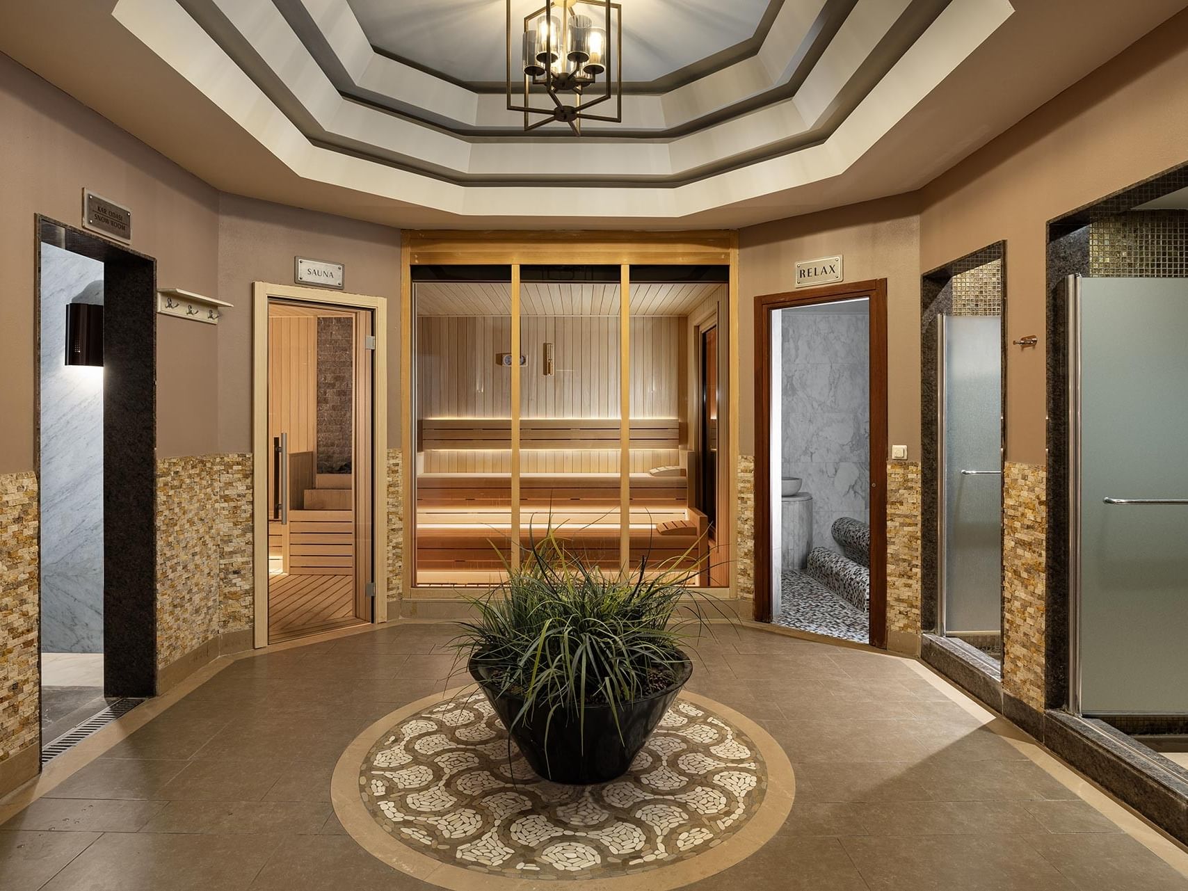 Spa entrance with a plant in a pot, wooden sauna door, and glass shower rooms in BeFine Spa at Titanic Business Kartal